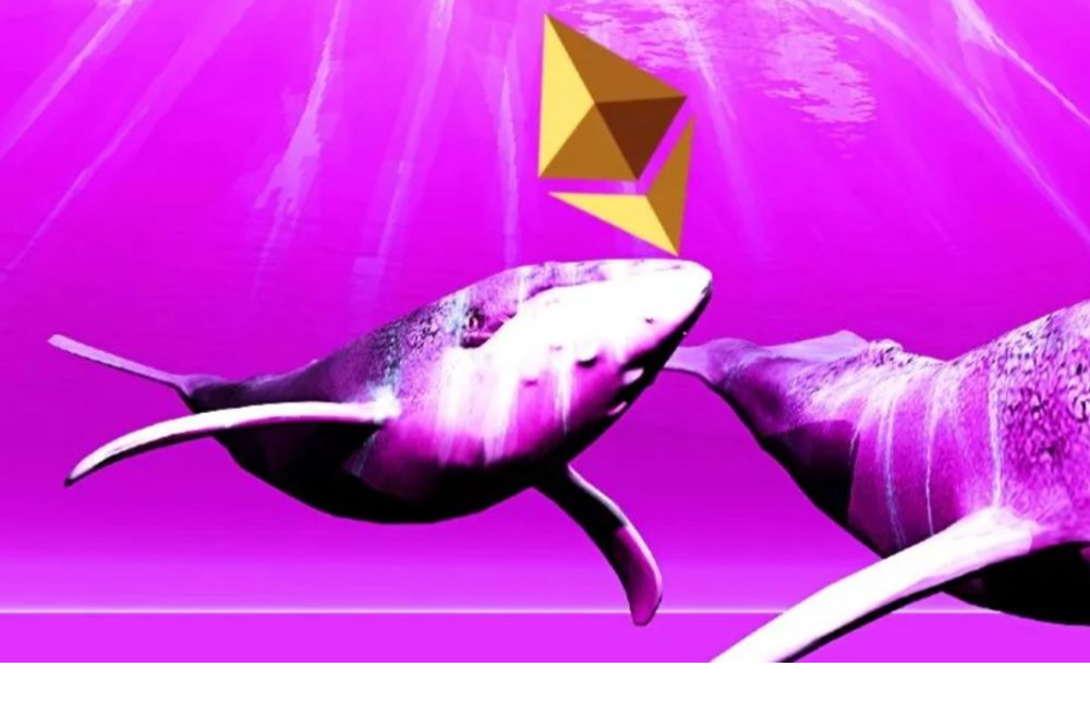 Unknown Whale Stakes Over 20k ETH Tokens, Igniting Optimism